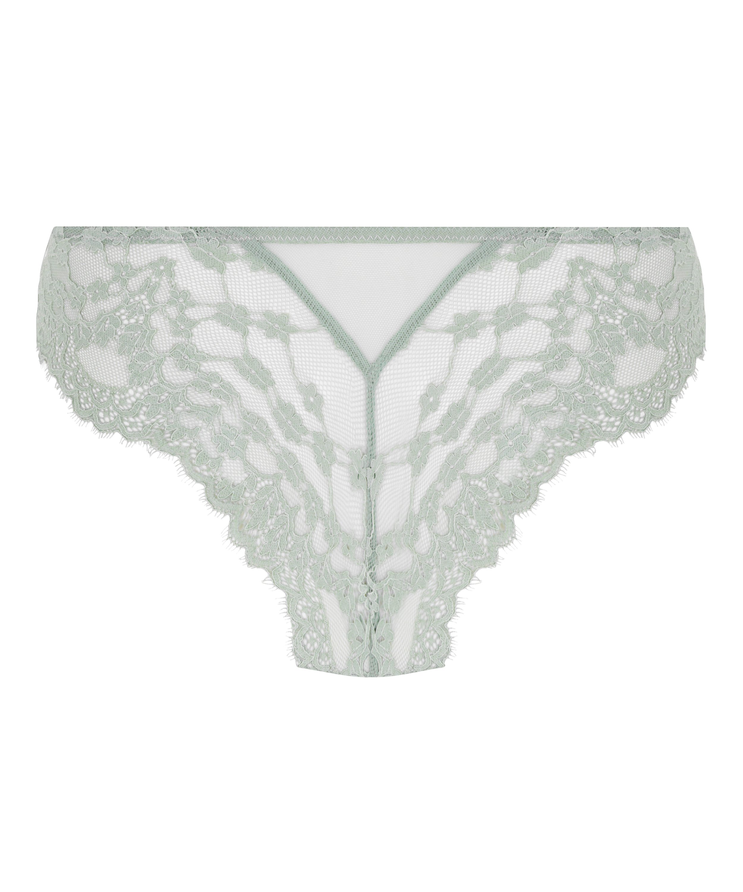 Brasile&ntilde;a Daisy, Verde, main