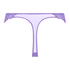 Tanga Daisy, Morado