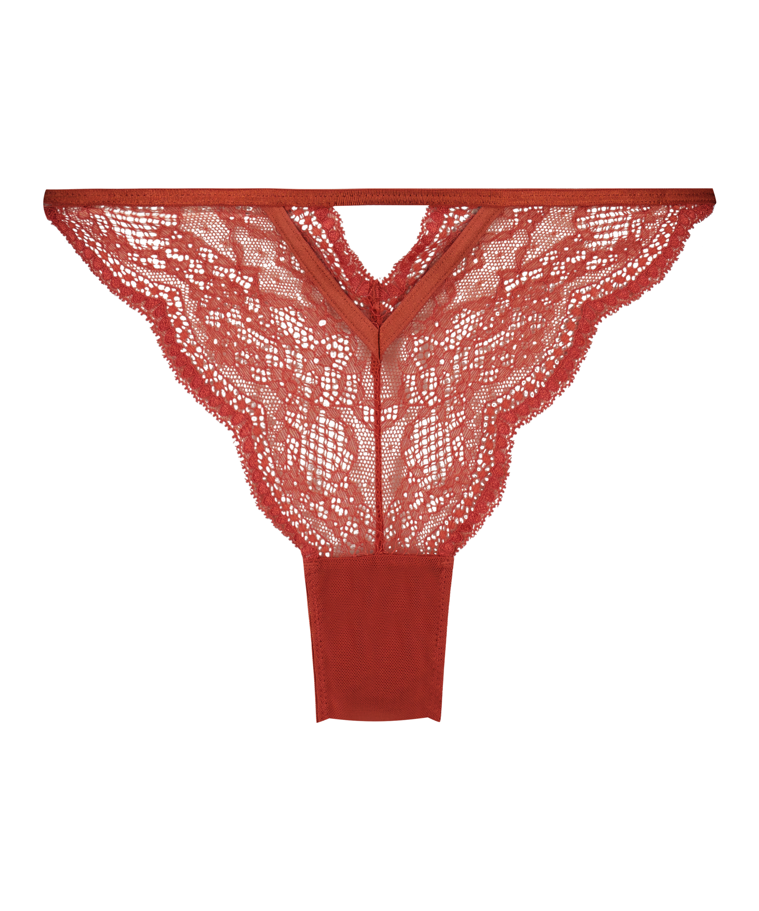 Brasile&ntilde;a Isabelle, Naranja, main