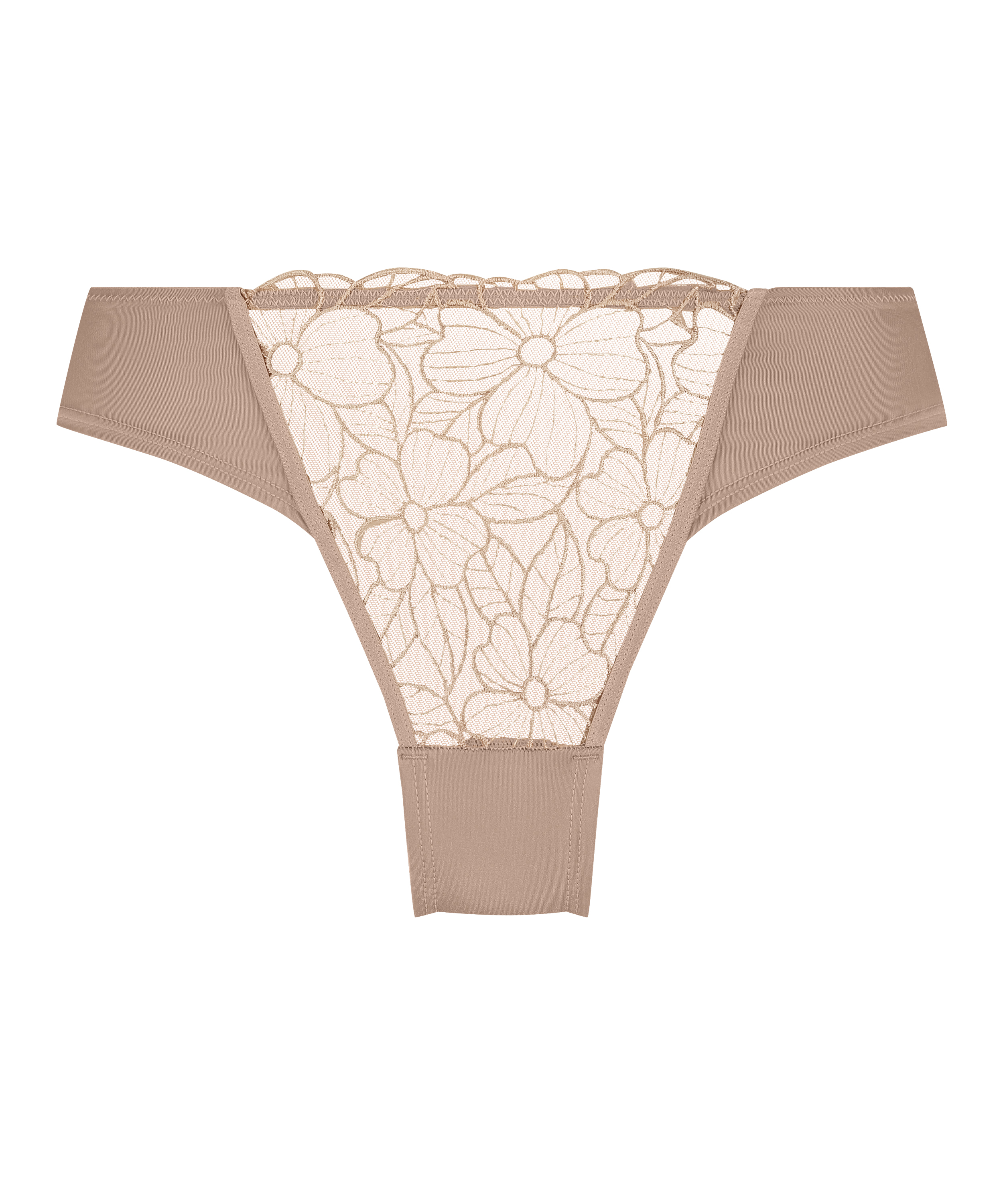 Braguita brasileña Anya, marrón, main