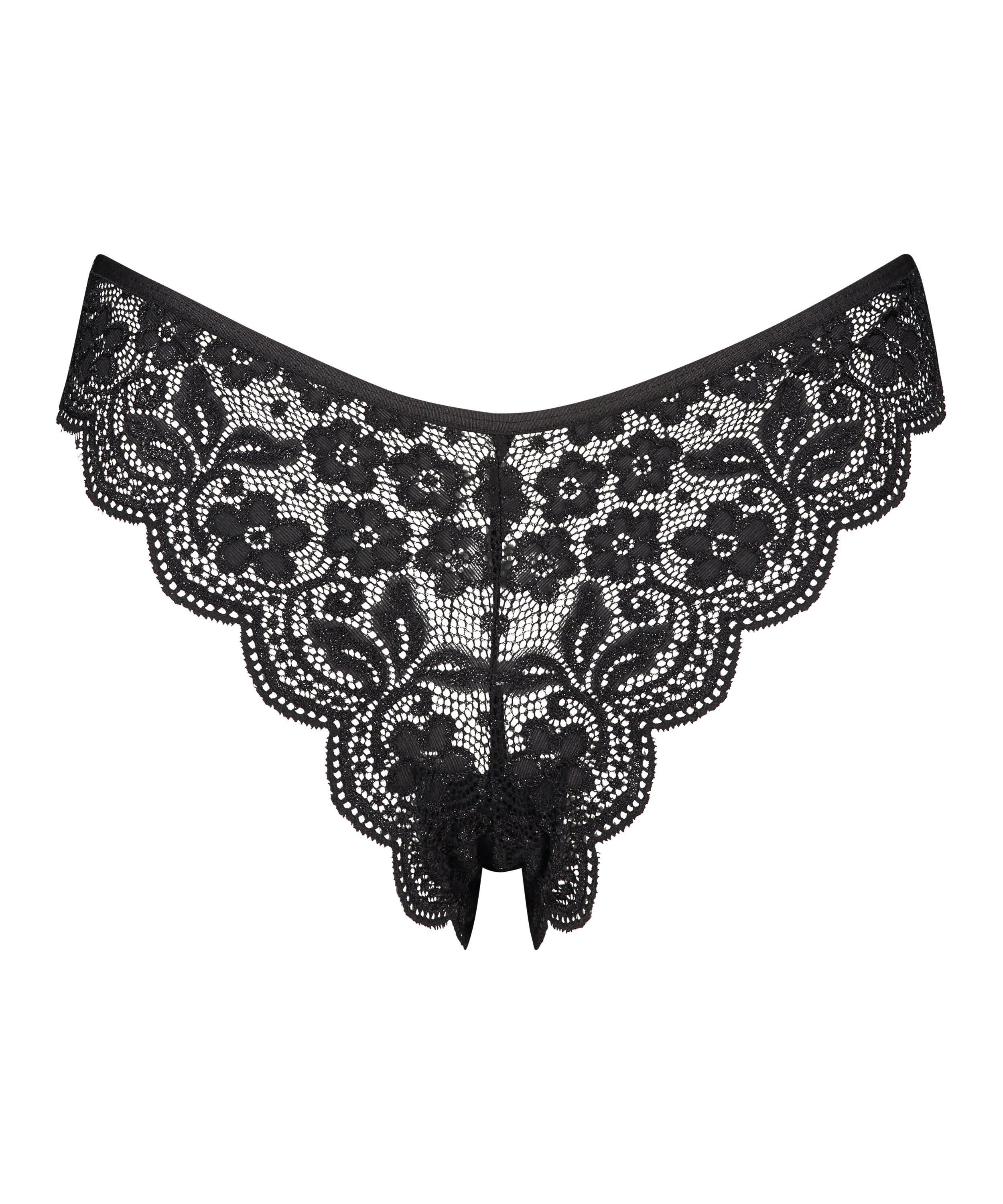 Braguita brasileña de pierna alta, Negro, main