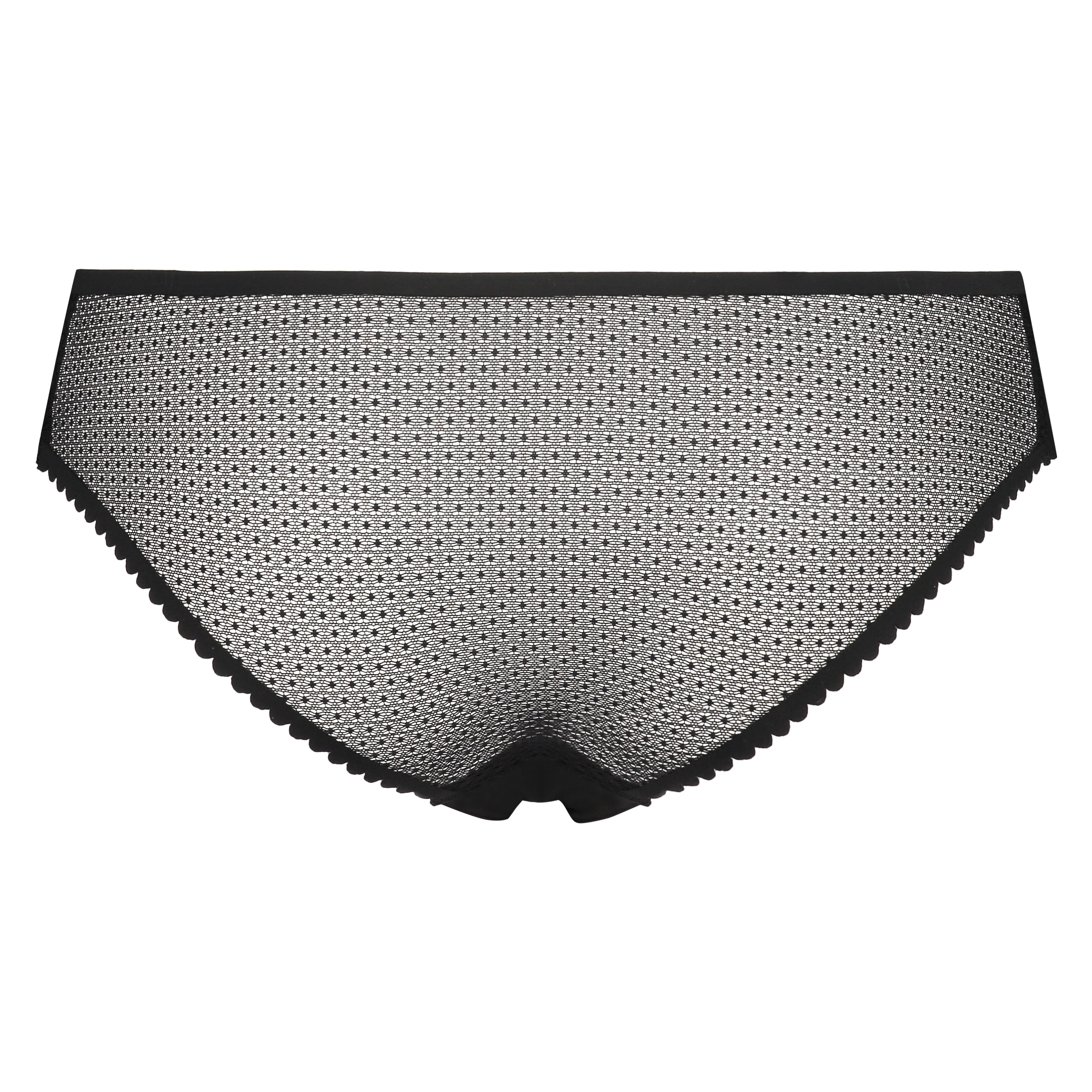 Braguita brasileña invisible, Negro, main