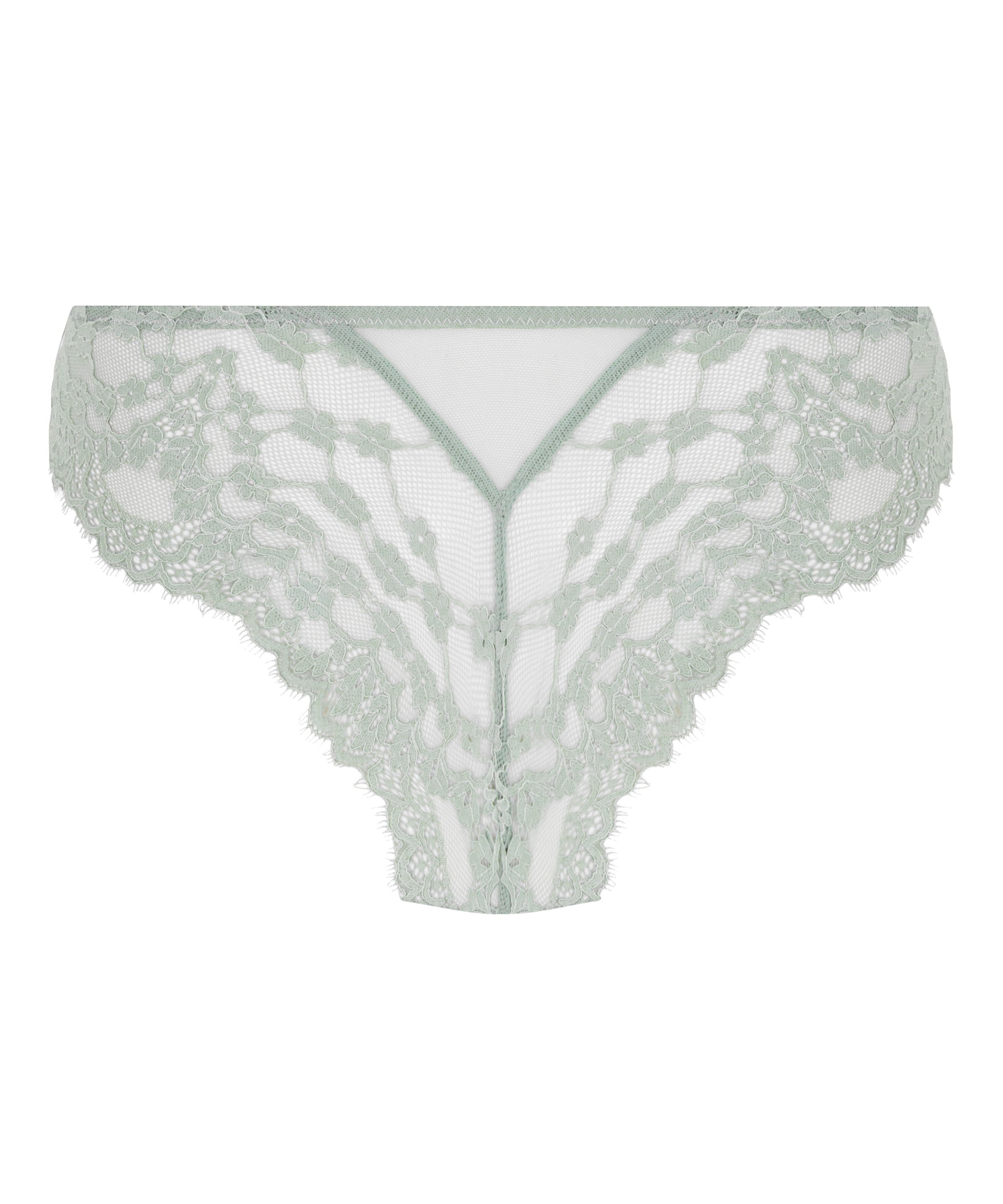 Brasile&ntilde;a Daisy, Verde, main