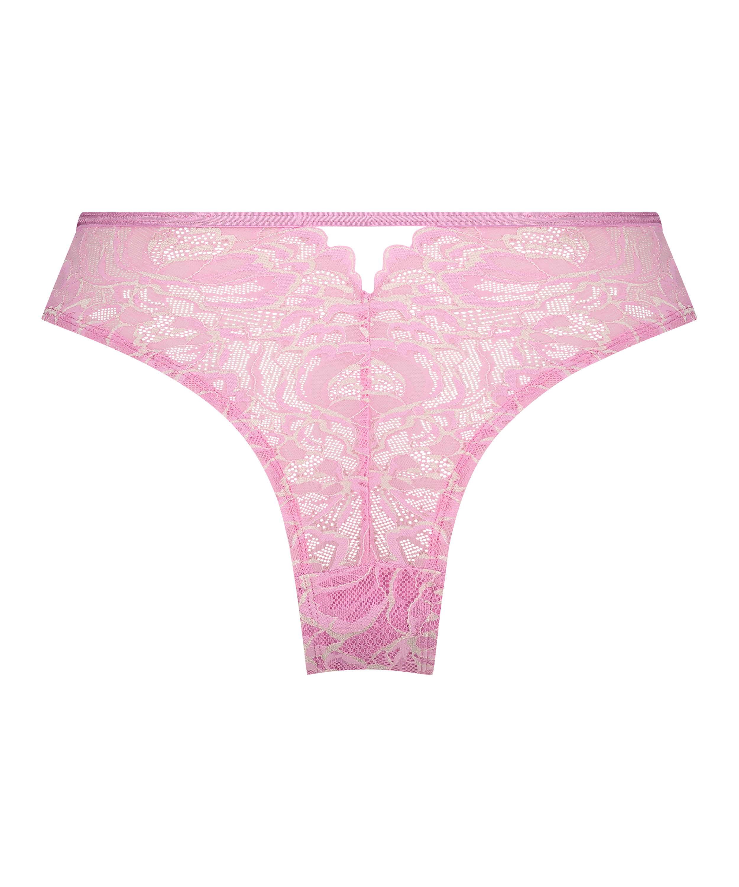 Braguita brasileña Abby, Rosa, main