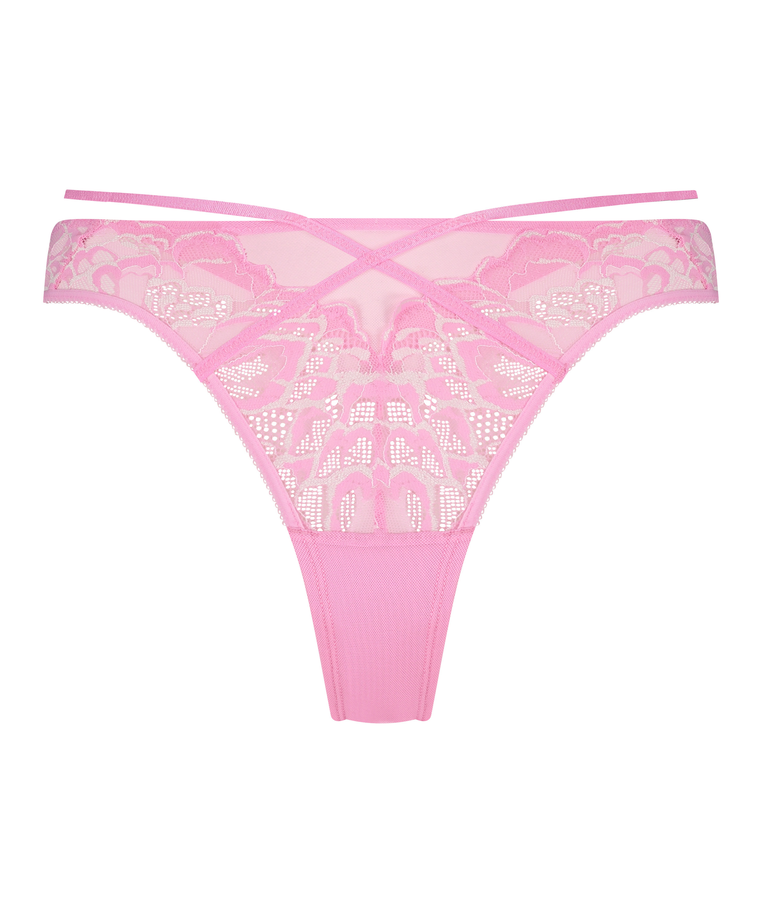 Braguita brasileña Alexia, Rosa, main