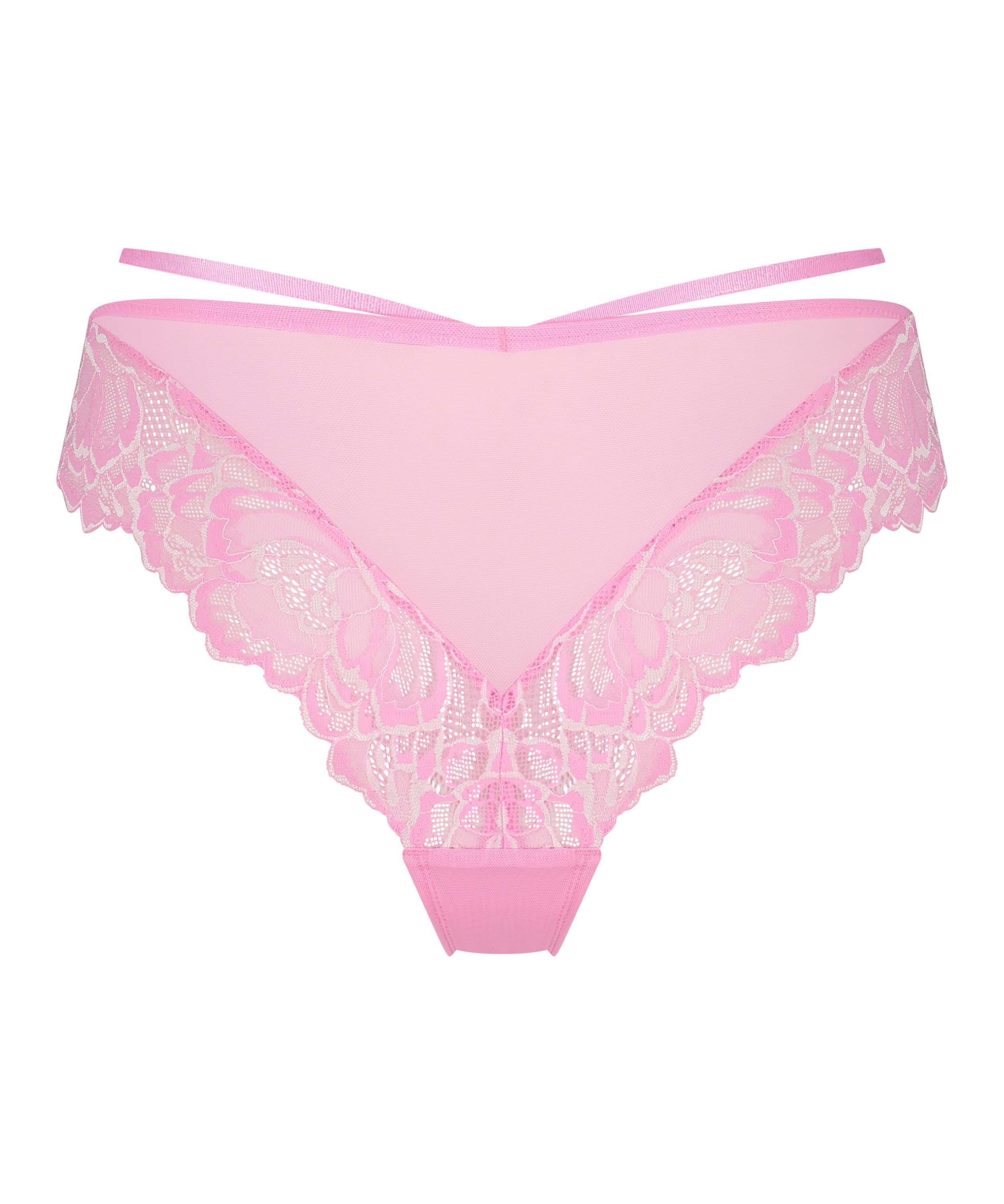 Braguita brasileña Alexia, Rosa, main