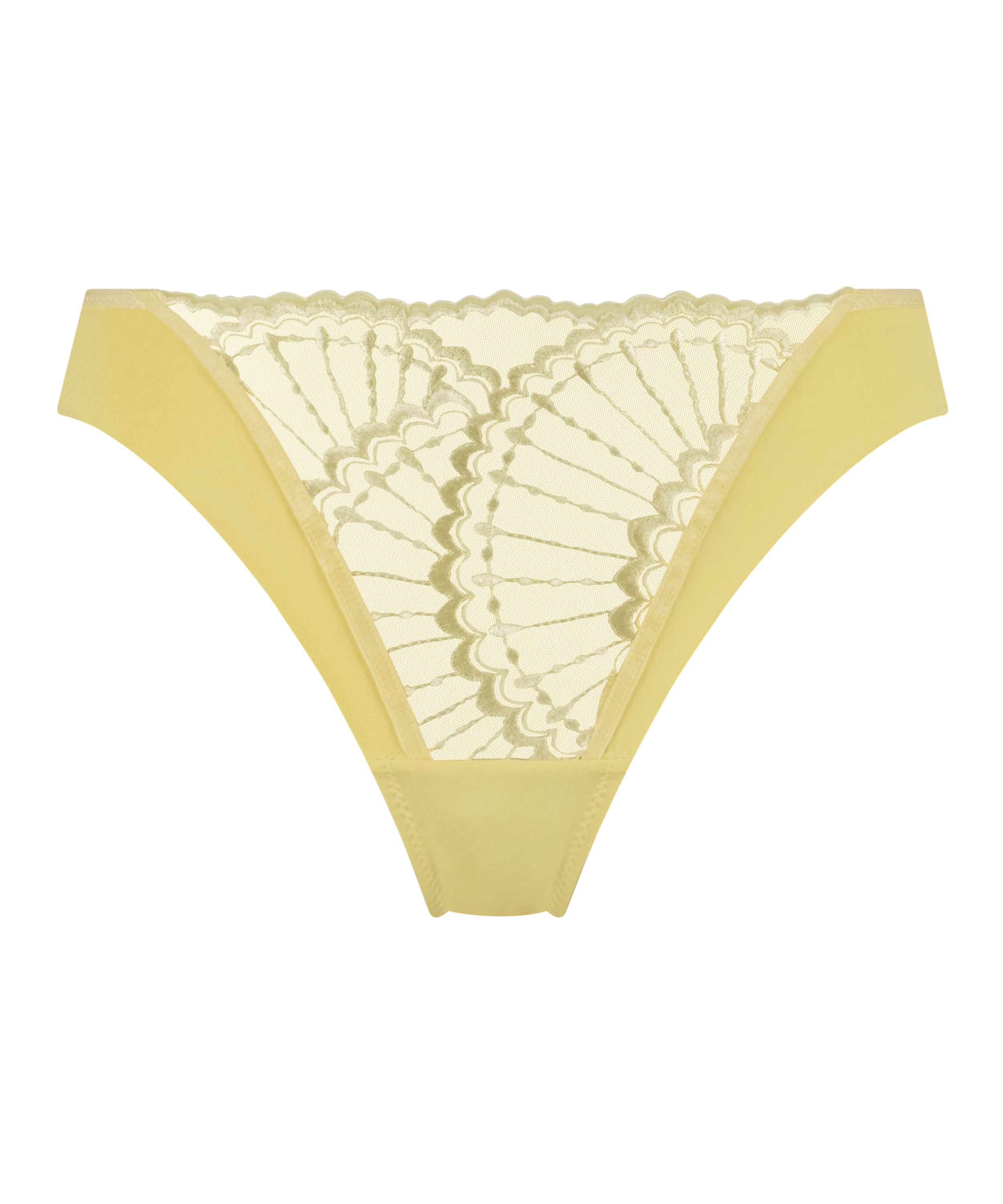 Braguita brasileña Sali, Amarillo, main