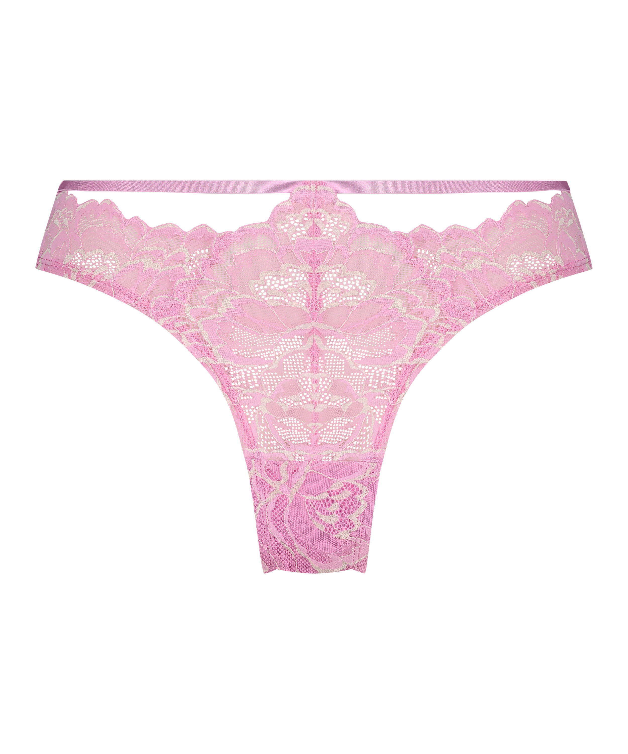 Braguita brasileña Abby, Rosa, main