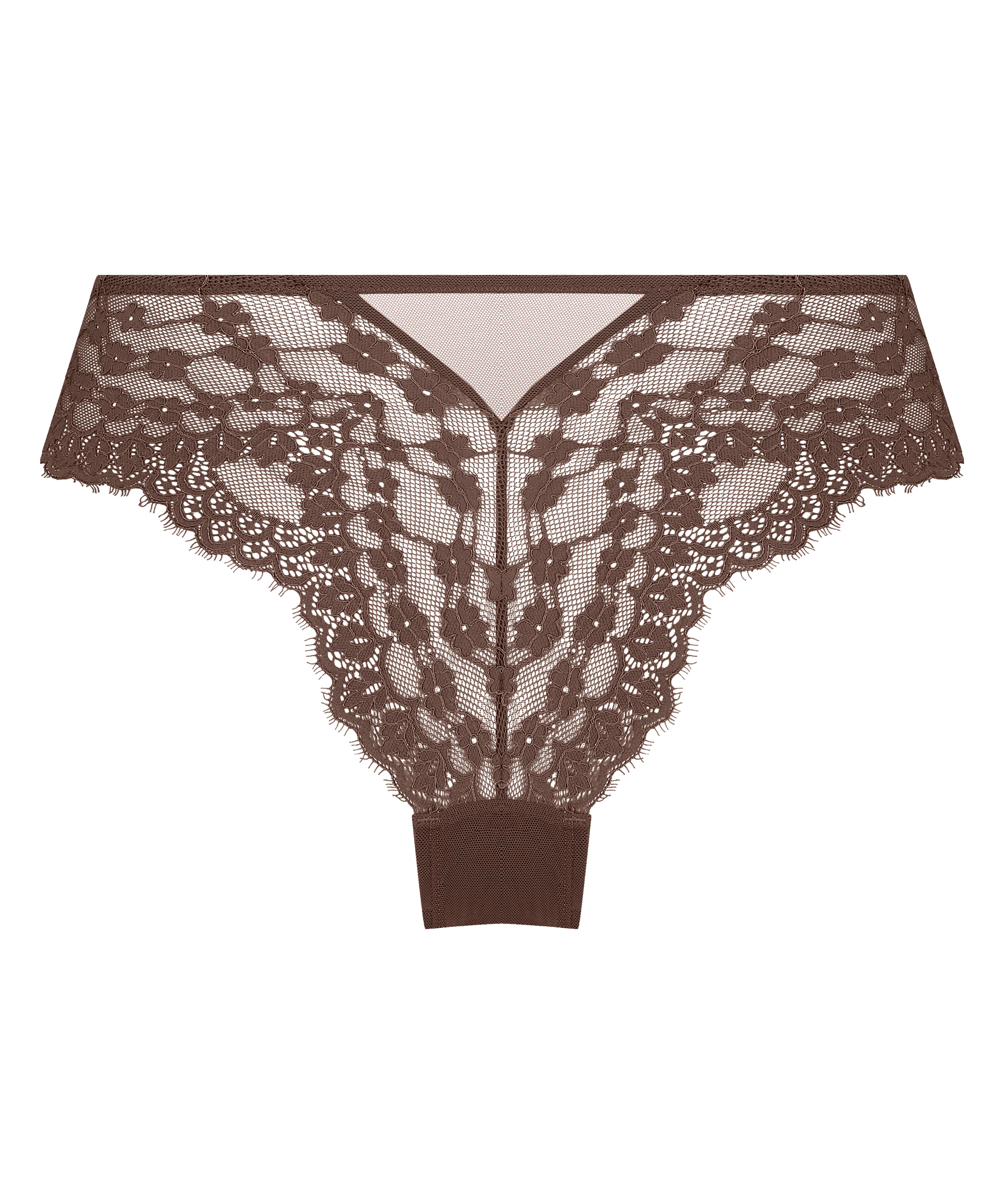 Brasile&ntilde;a Daisy, Marr&oacute;n, main