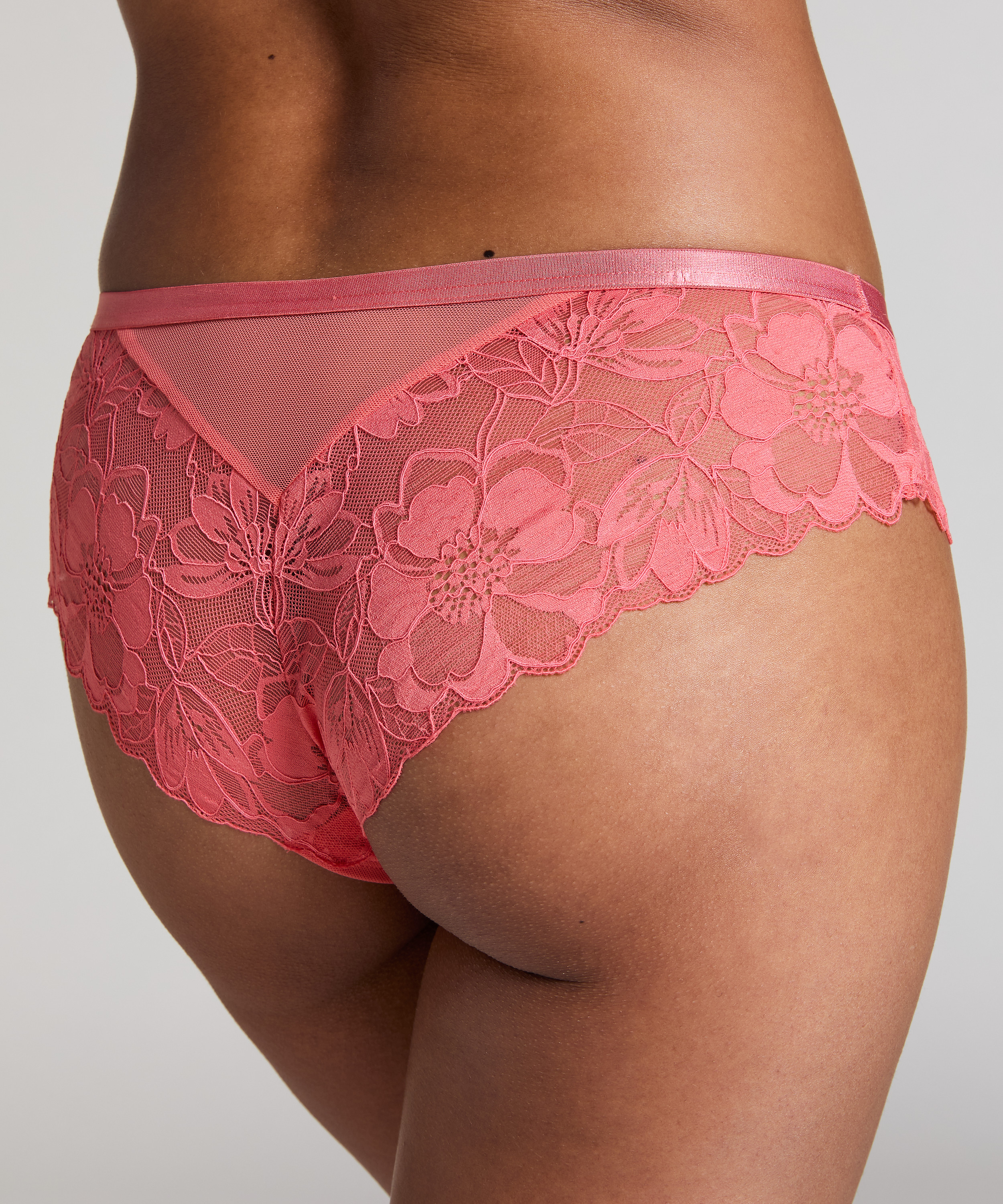 Brasile&ntilde;a Sophia, Rosa, main