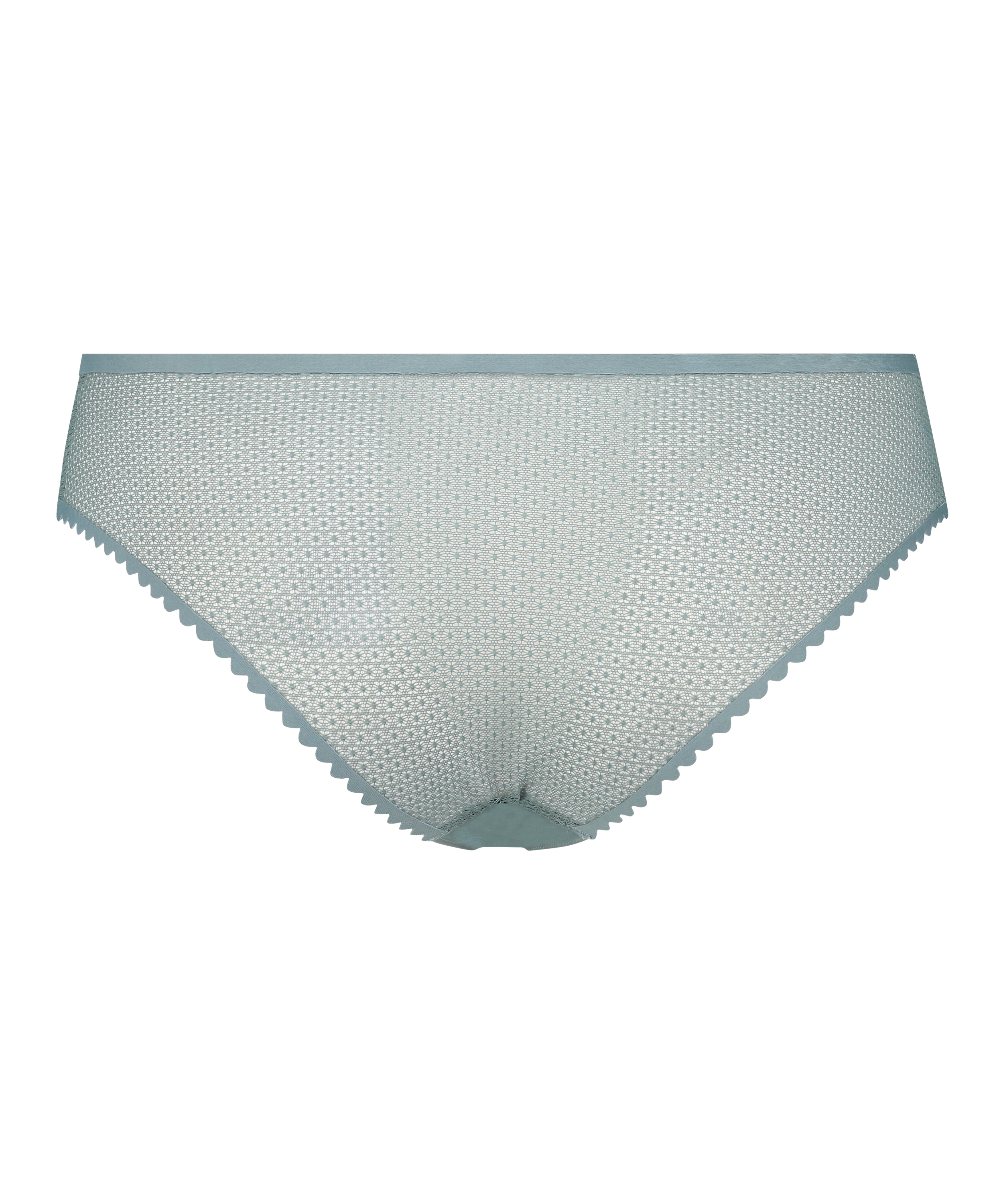 Braguita brasileña invisible, Gris, main