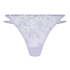 Tanga Lauren, Morado