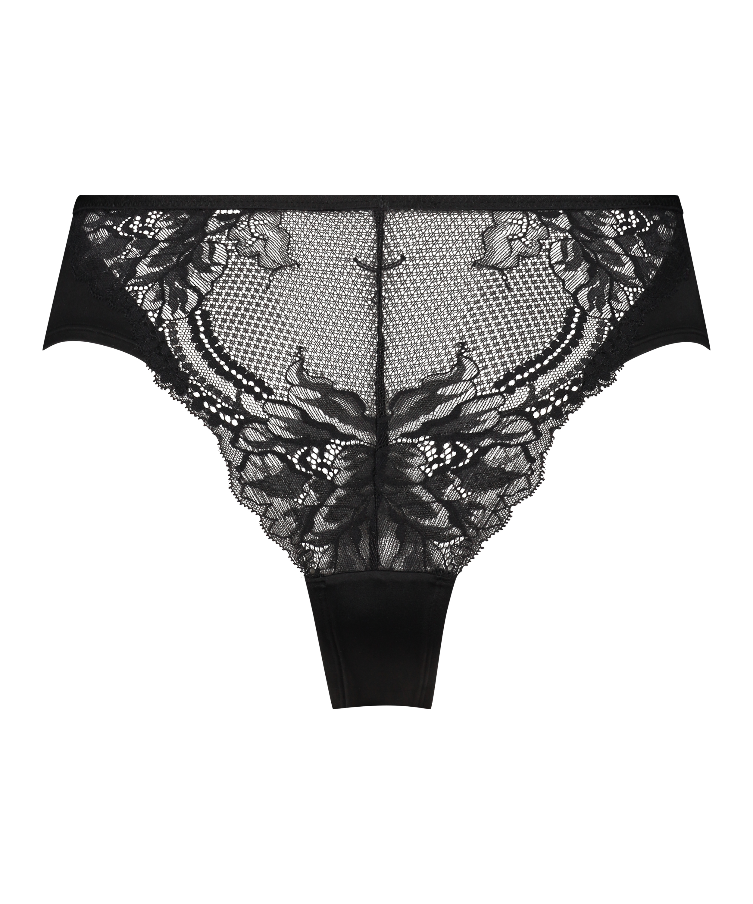 Braguita brasileña Leonie, Negro, main