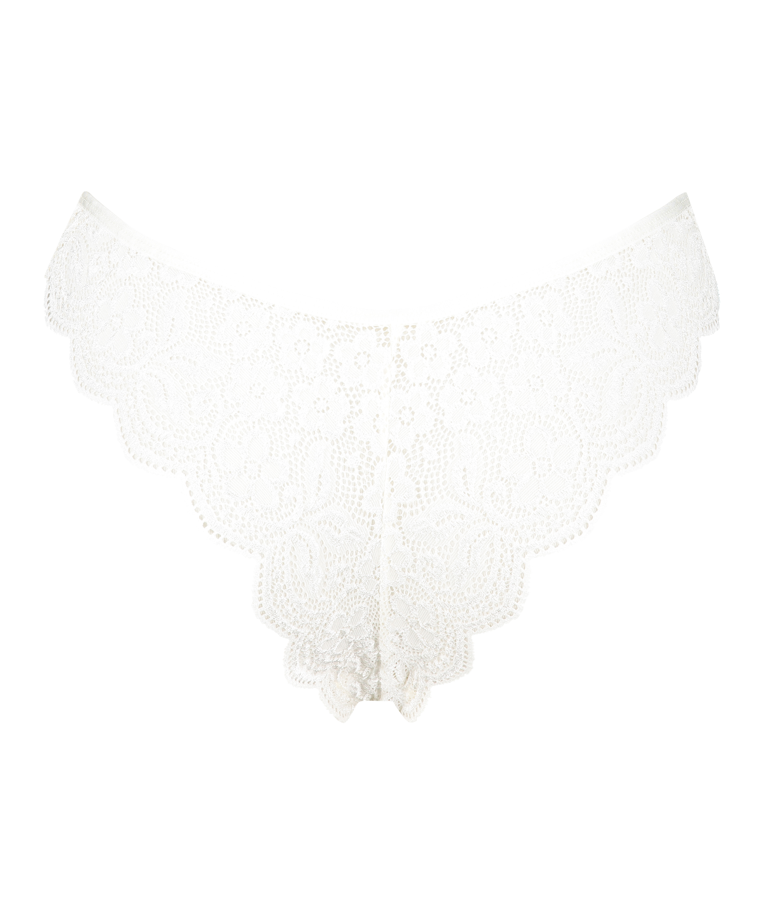 Braguita brasileña de pierna alta, Blanco, main