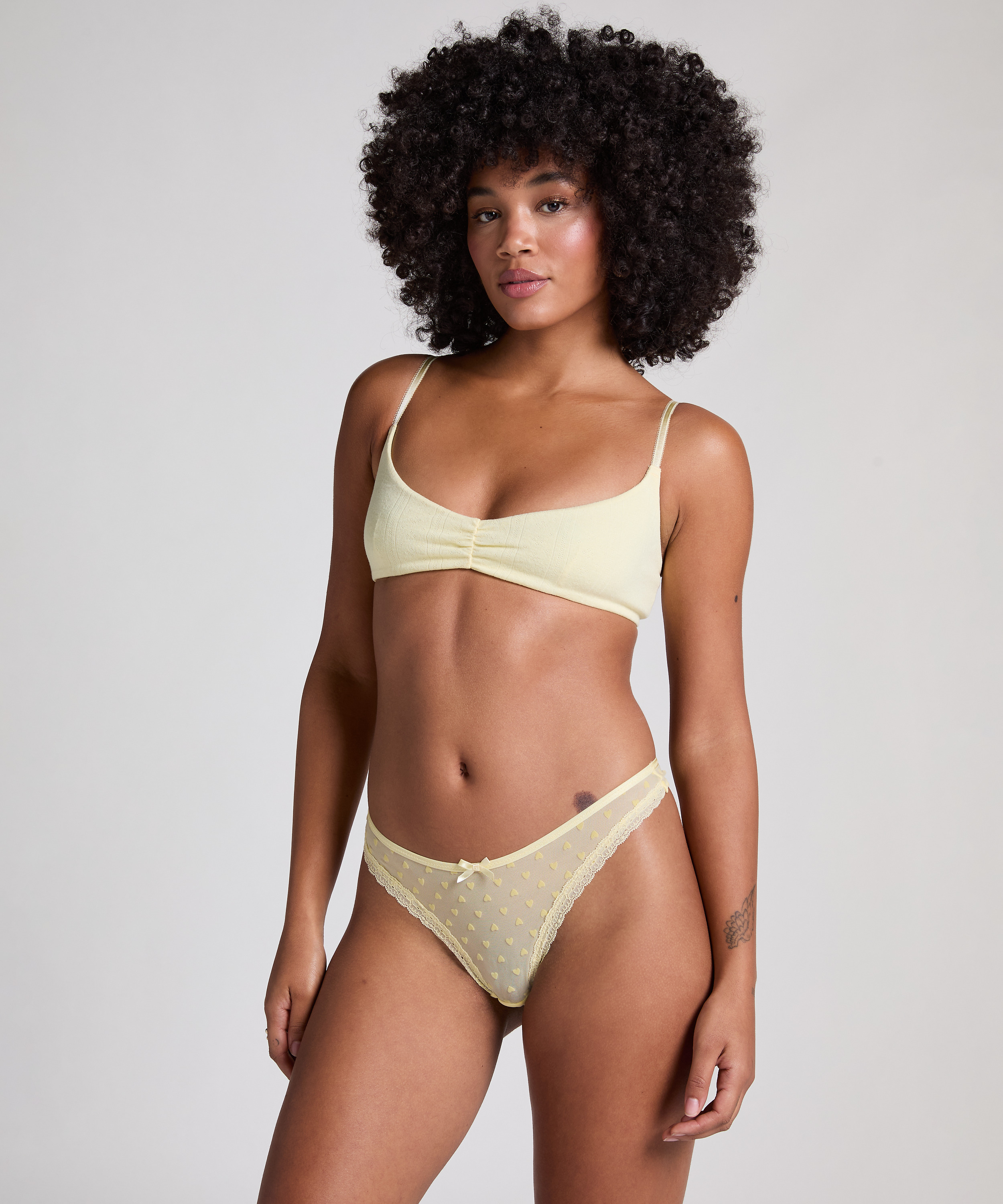 Tanga Phoebe, Amarillo, main