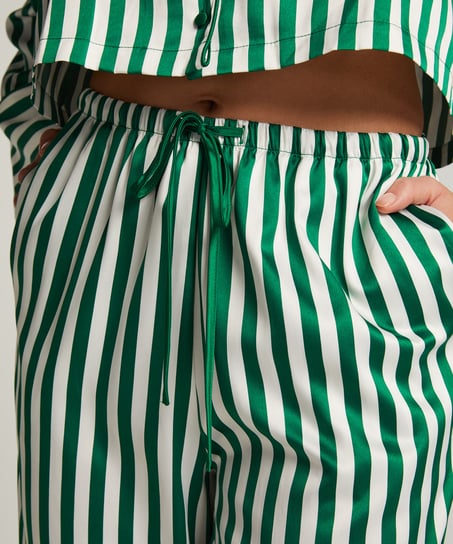 Pantal&oacute;n de sat&eacute;n, Verde