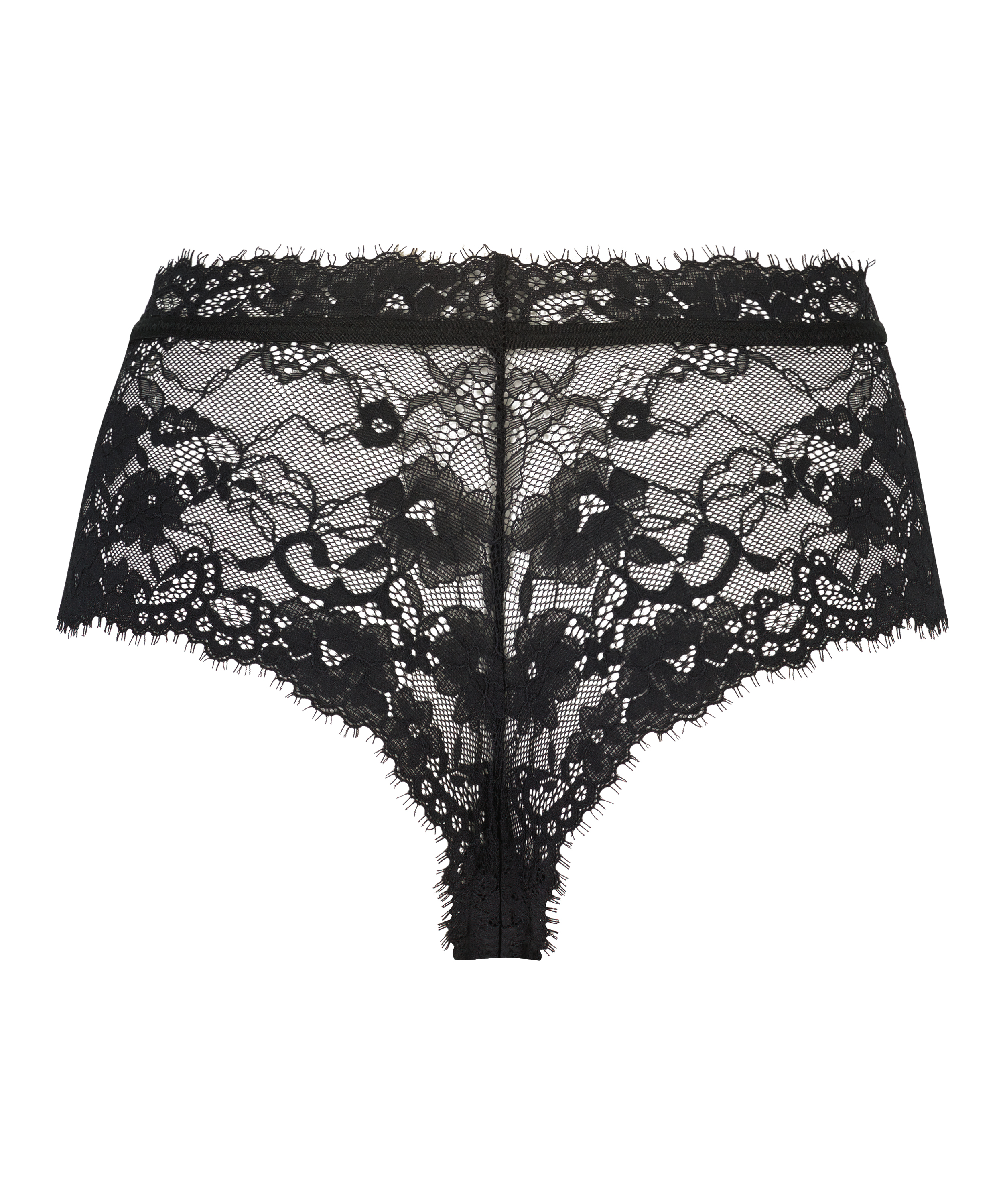 Boxer Hailee, Negro, main