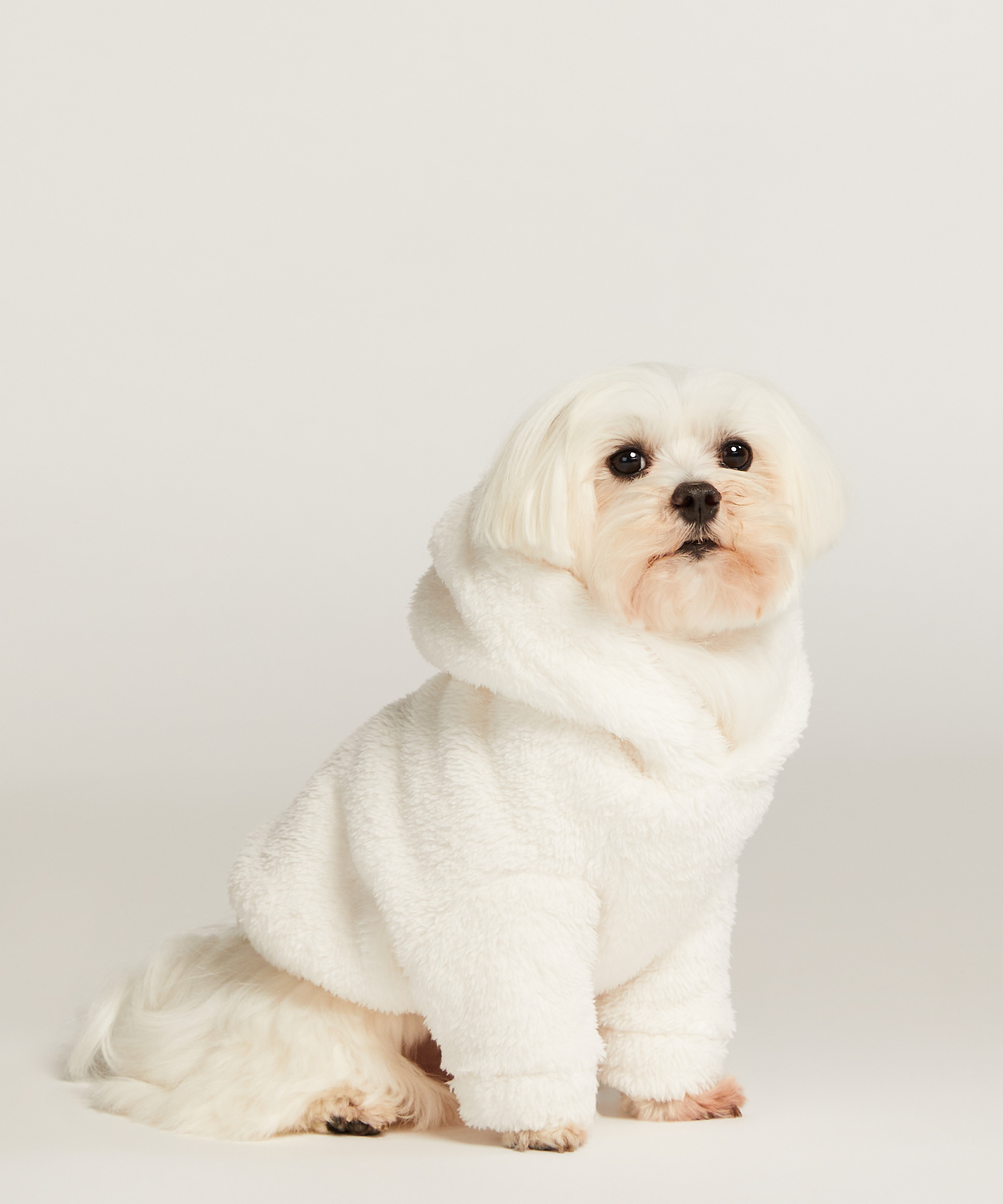 Onesie para perro, Blanco, main