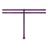 Tanga Cinnamon, Morado