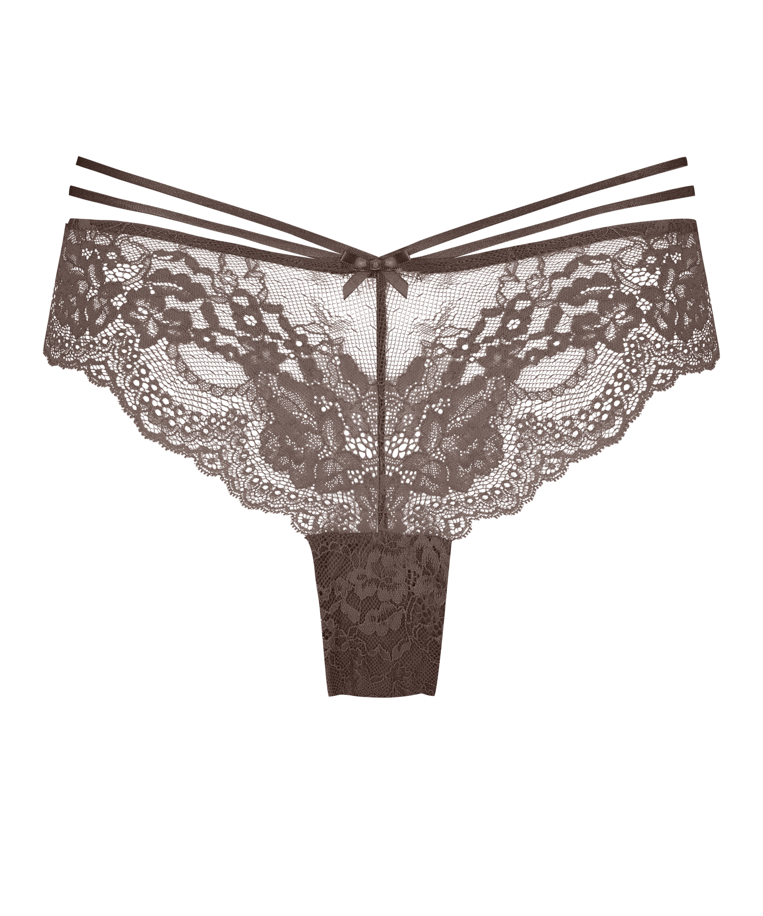 Braguita brasileña Shay, Marrón, main