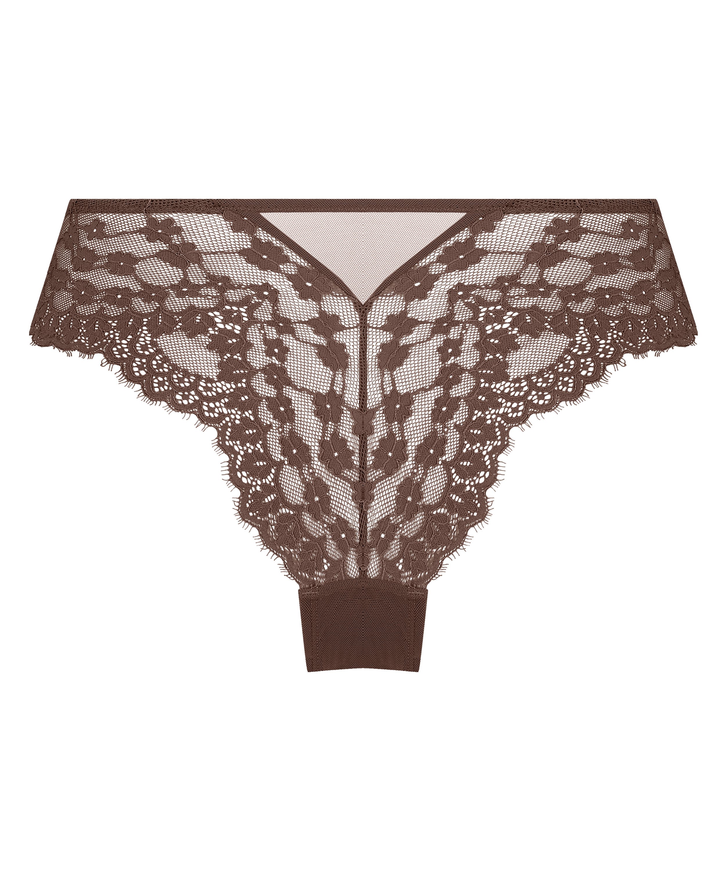 Brasile&ntilde;a Daisy, Marr&oacute;n, main