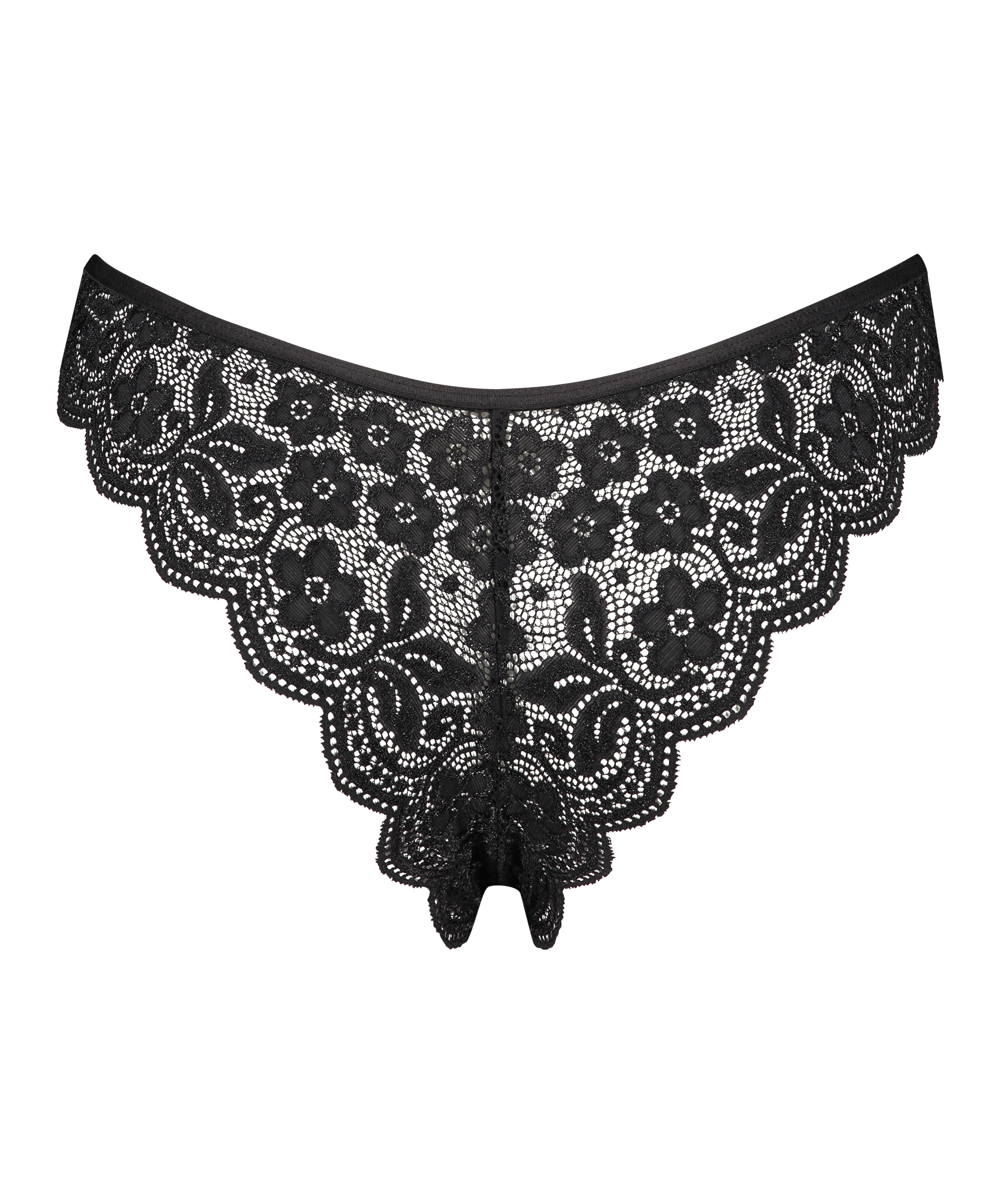 Braguita brasileña de pierna alta, Negro, main