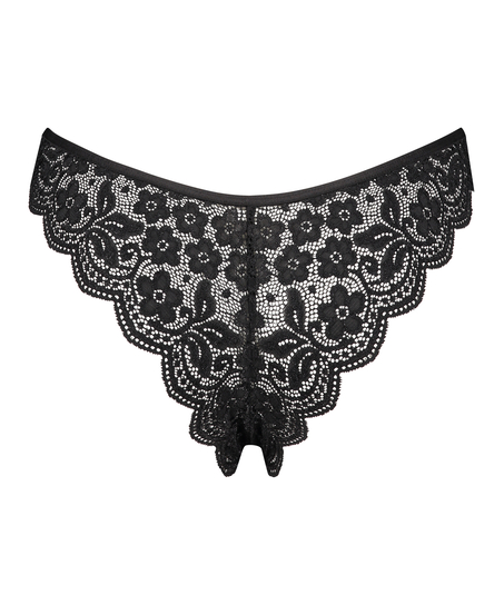 Braguita brasileña de pierna alta, Negro