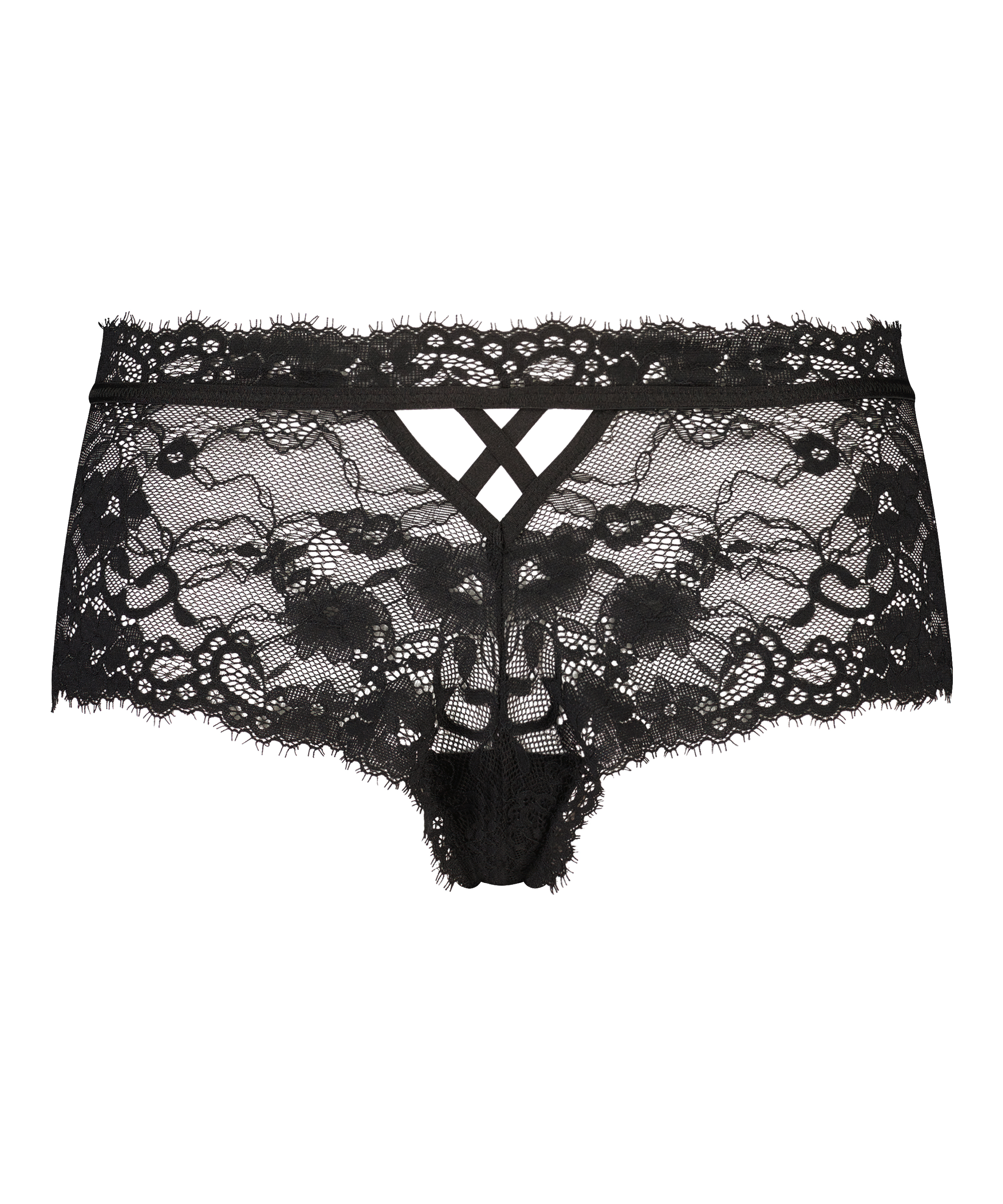 Boxer Hailee, Negro, main