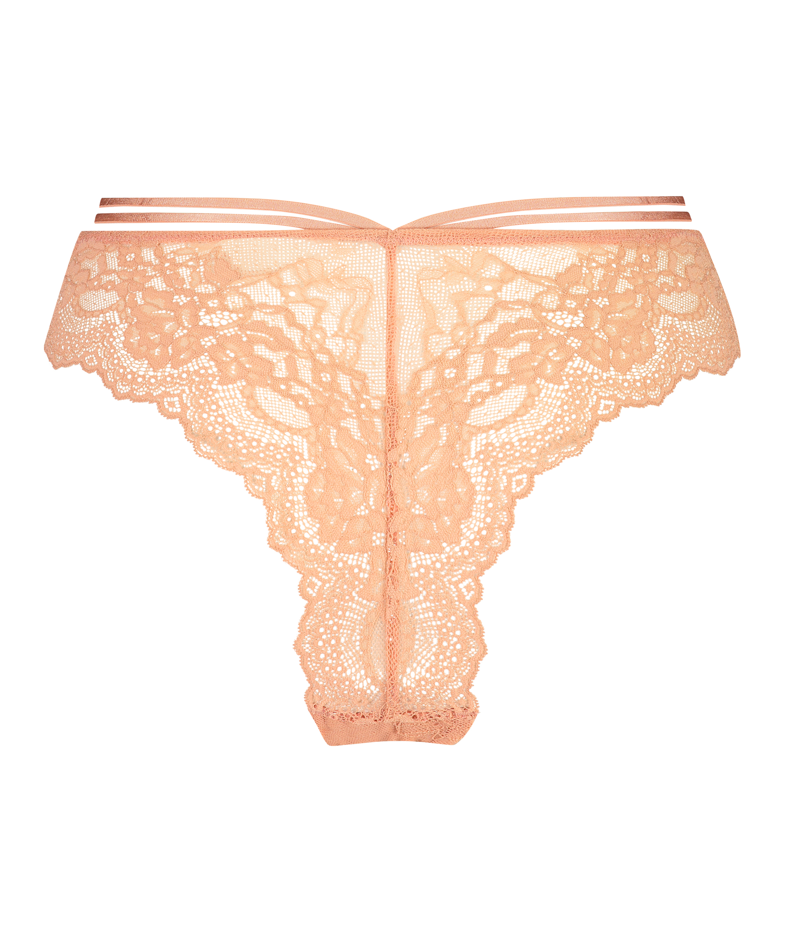 Braguita brasileña Shay, Rosa, main