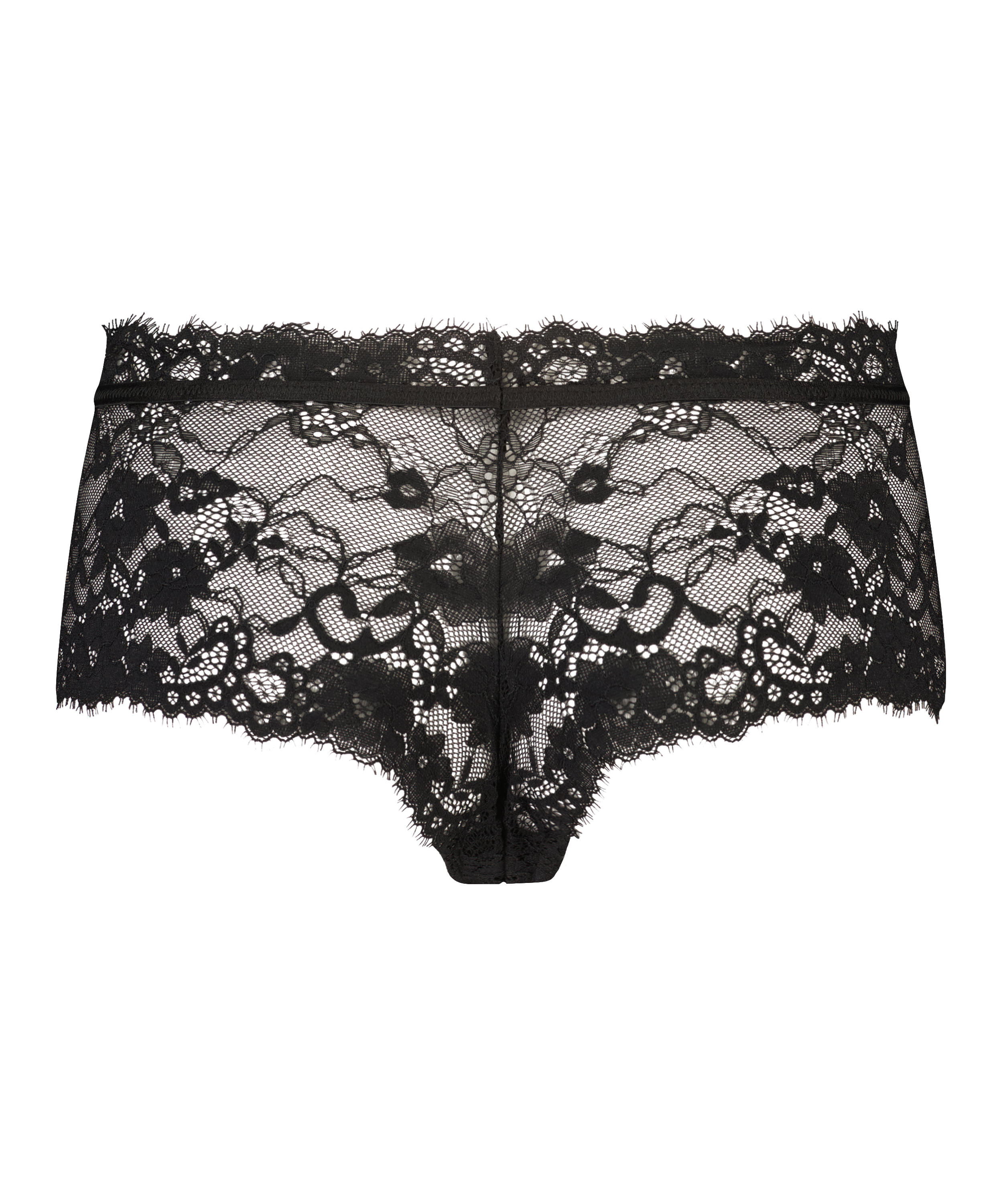 Boxer Hailee, Negro, main