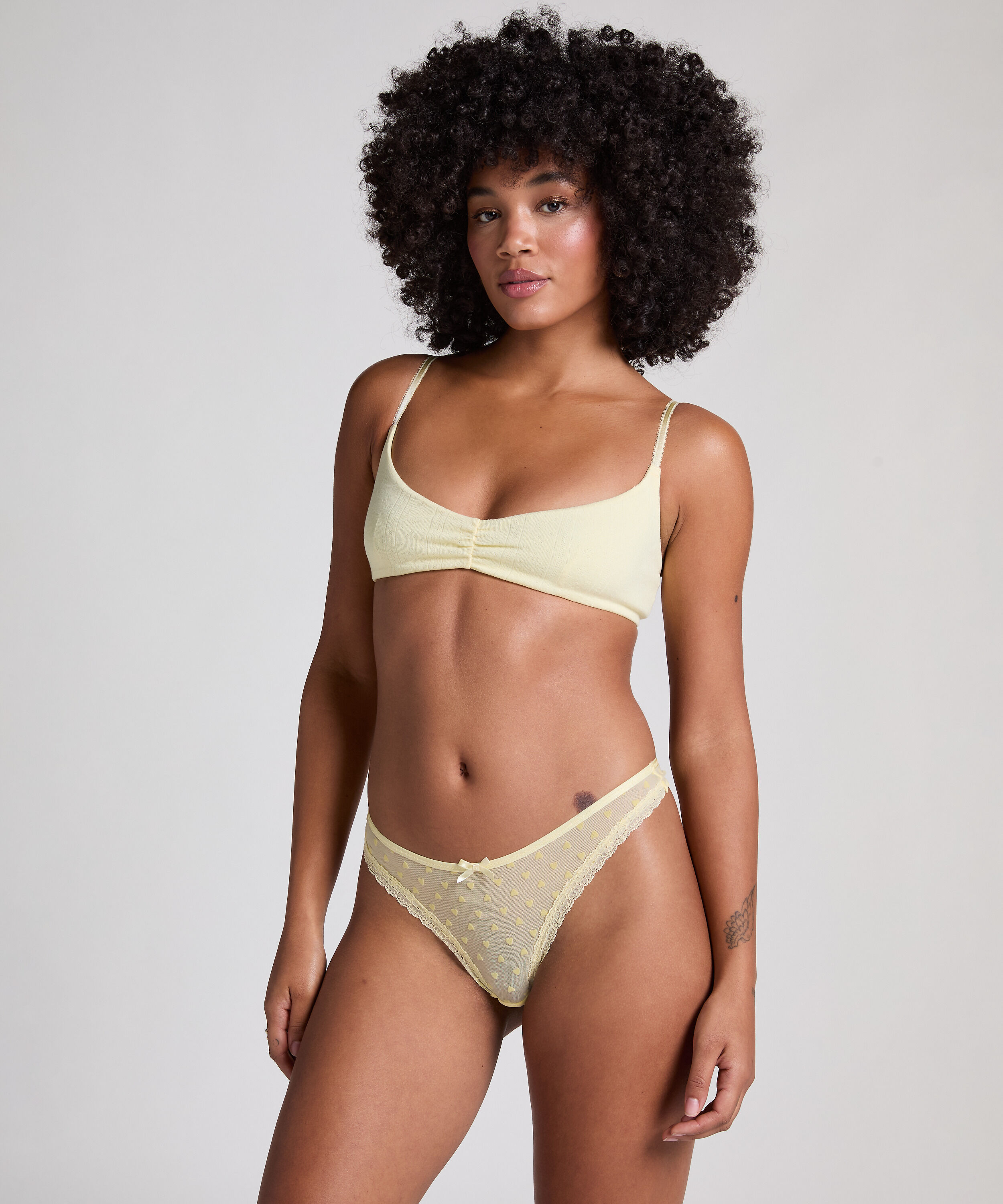 Tanga Phoebe, Amarillo Tanga Phoebe, Amarillo