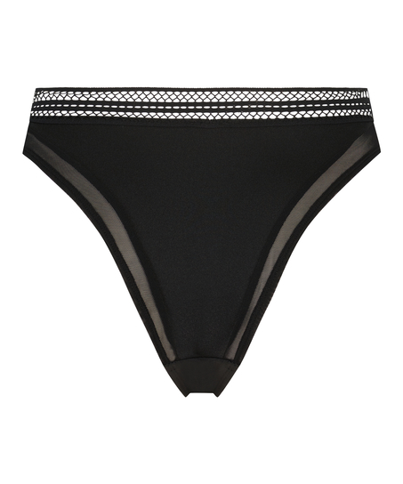 Braguita brasileña de tiro alto Mina, Negro