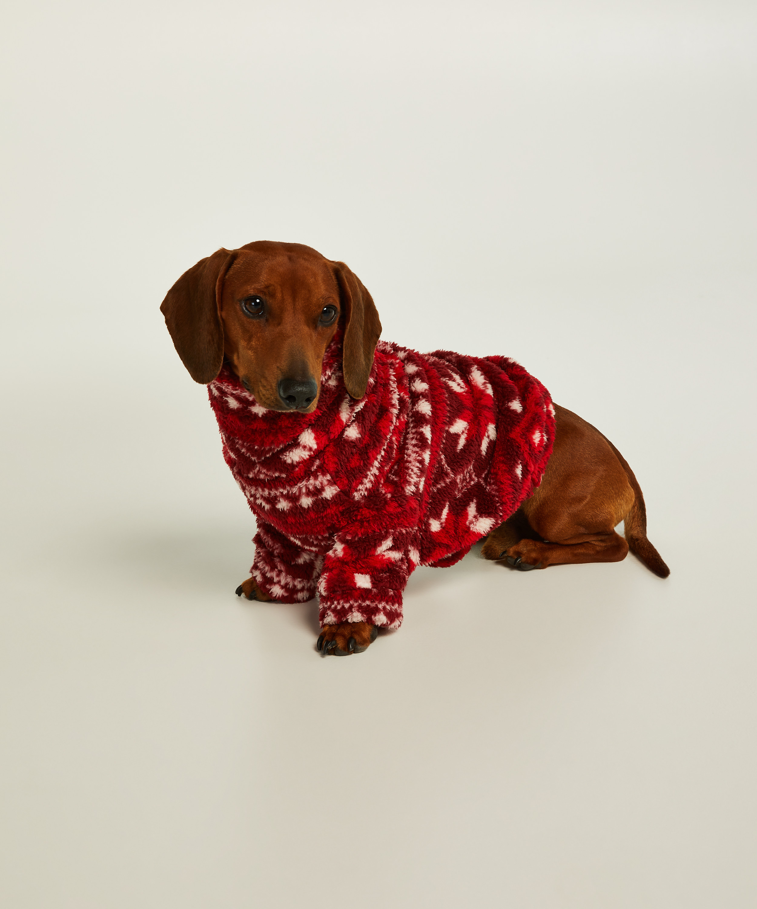 Onesie para perro, Rojo, main