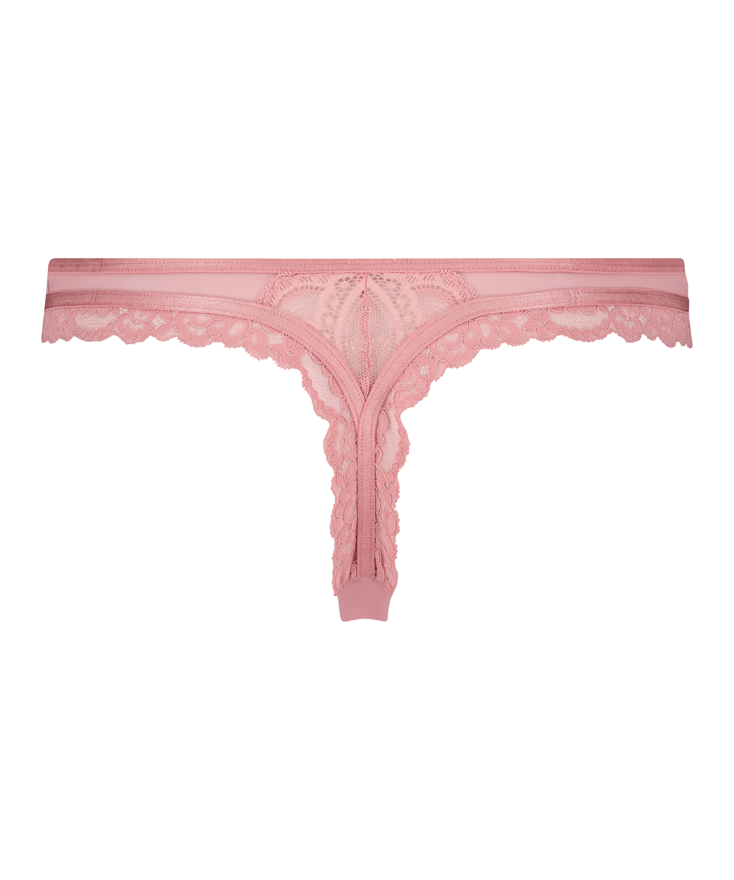 Tanga Cia, Morado, main