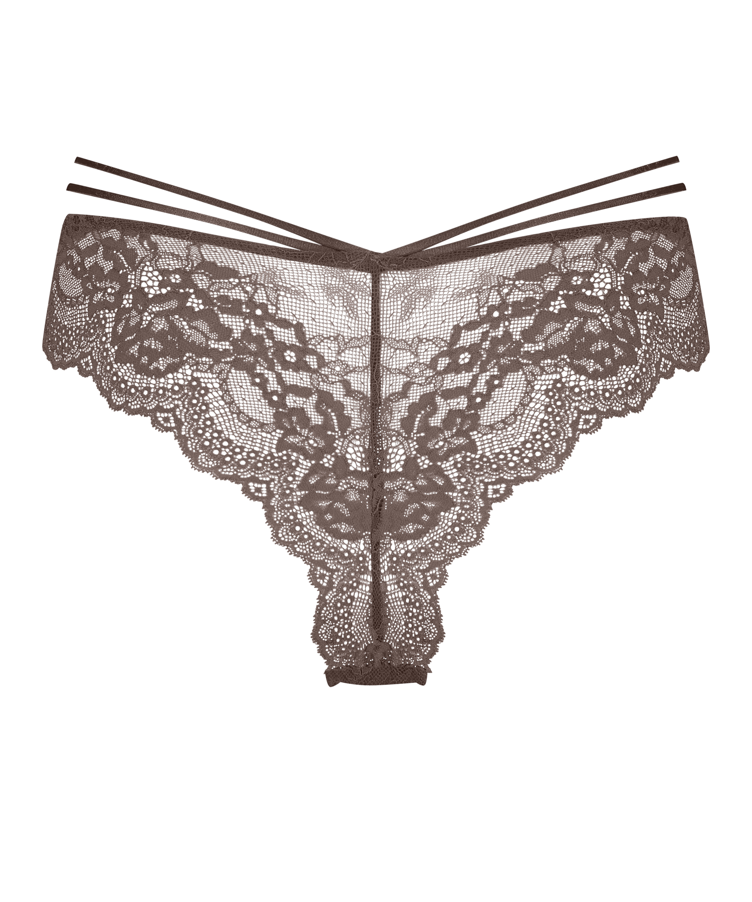 Braguita brasileña Shay, Marrón, main