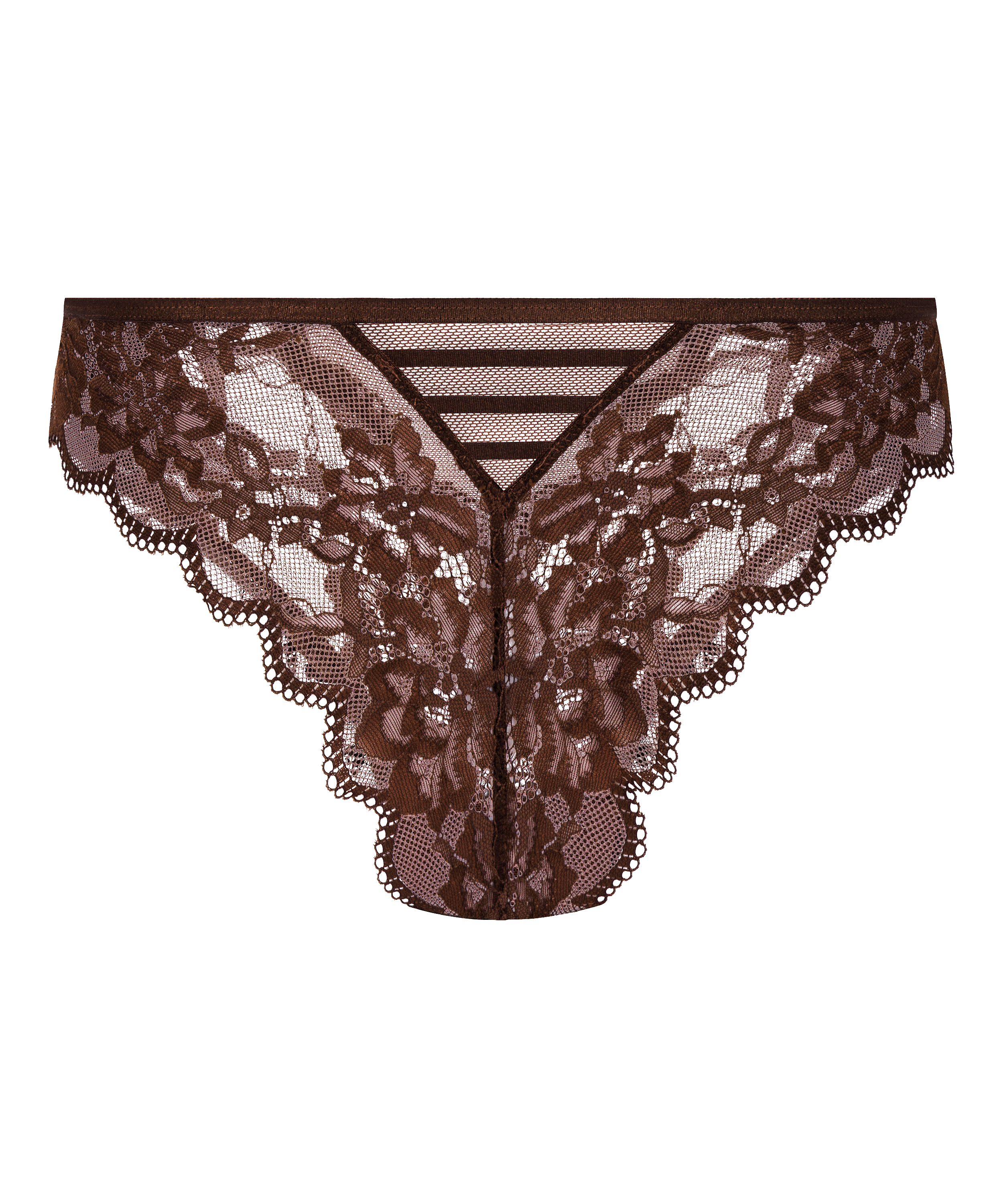 Brasileña Lisa, marrón, main