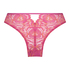 Braguita brasileña Abby, Rosa